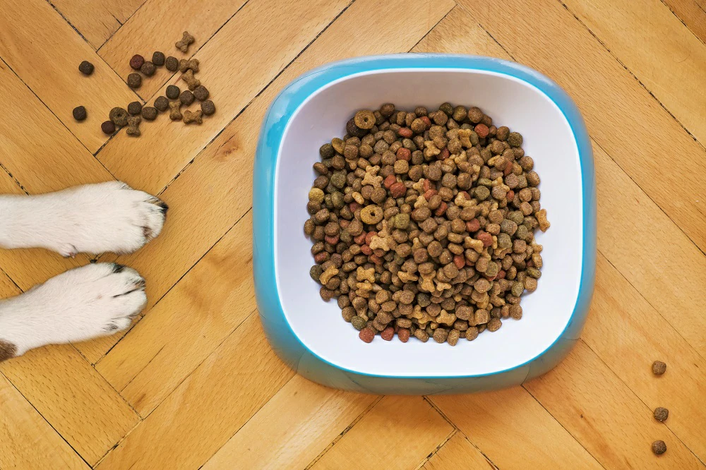 Packging bag for pet food