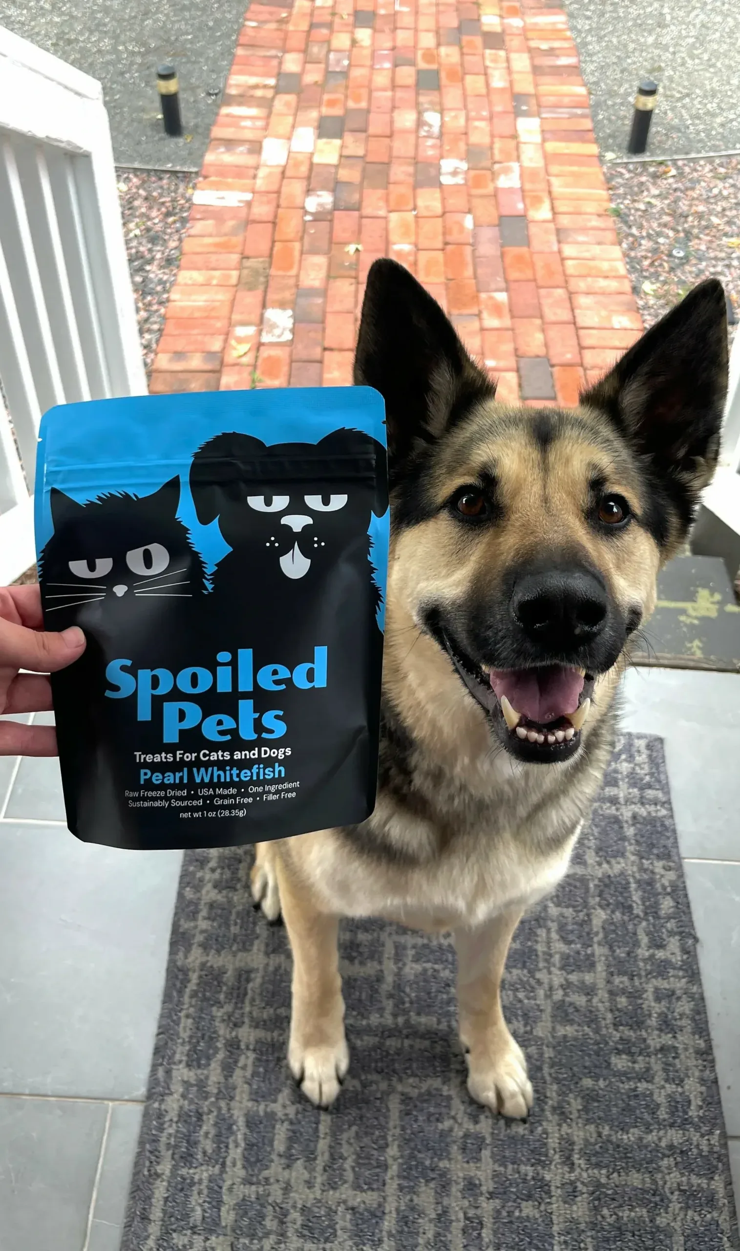Black blue cat dog pet treat resealable stand up pouch outdoor photo