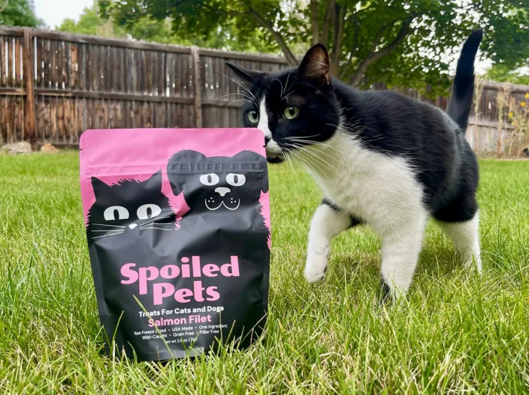 Pink pet treat stand up pouch with cat graphic outdoor garden photo